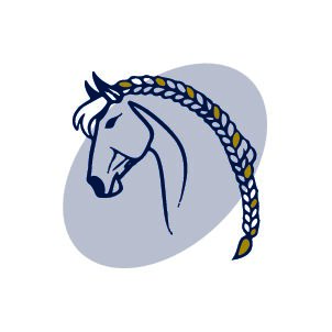 Artículos para exhibir y mover