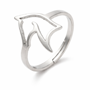 Anillo Plateado «Buddy»